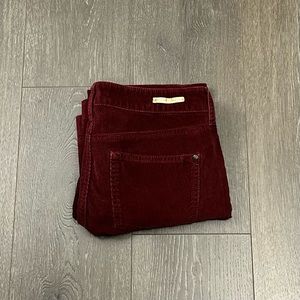 Anthropologie Pilcro and The Letterpress Burgundy Corduroy Pants‎ Sz 28